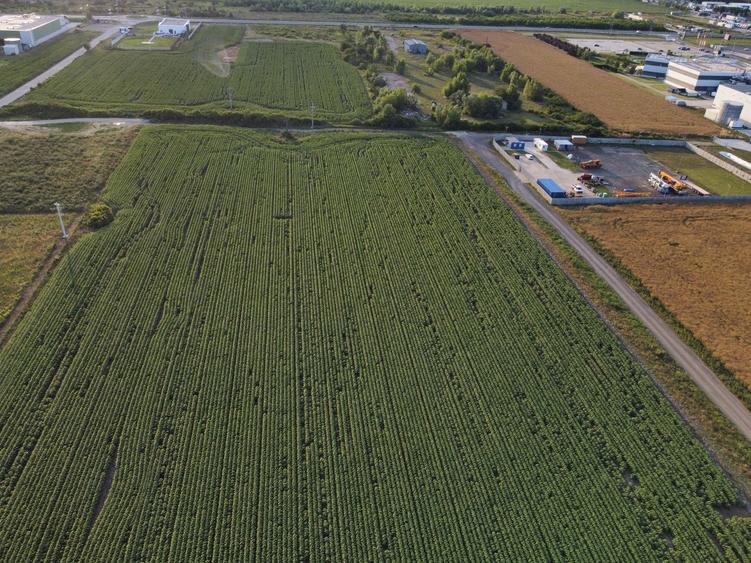 Teren Construcții intravilan de 4037 mp, în Giarmata