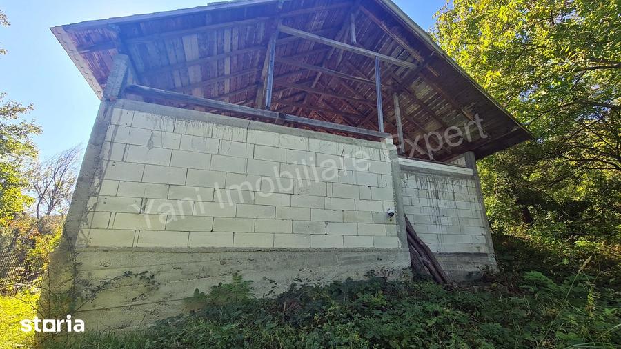 Casă cu 3 camere cu Teren 4391 Mp în Valea Danului
