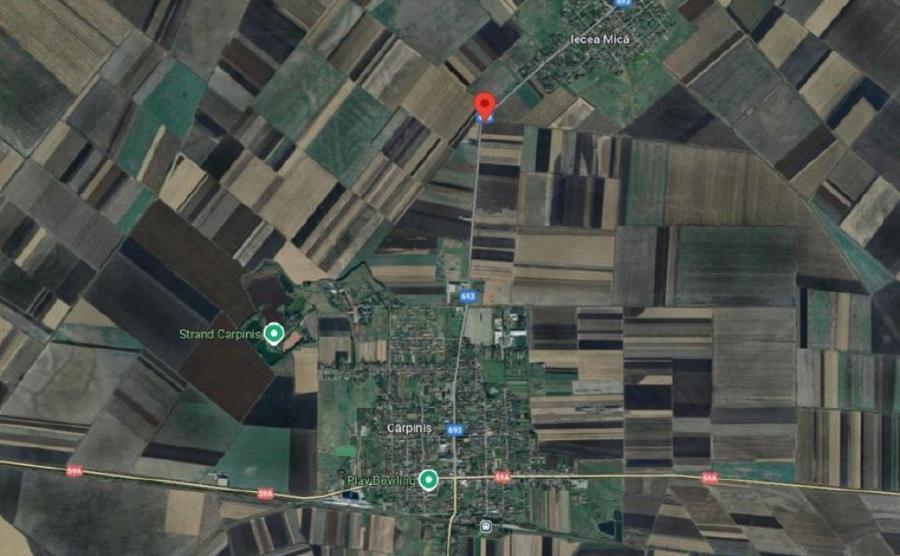 Cota de 5/24 din teren extravilan Carpinis, judetul Timis; - 3