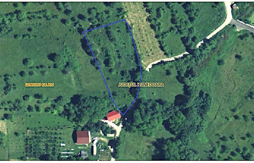 Teren Construcții intravilan de 3282 mp, în Luncoiu de Sus