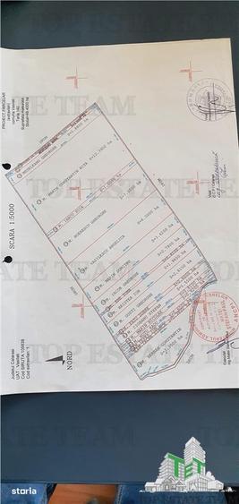 Teren de 457900 mp, în Ștefan Vodă