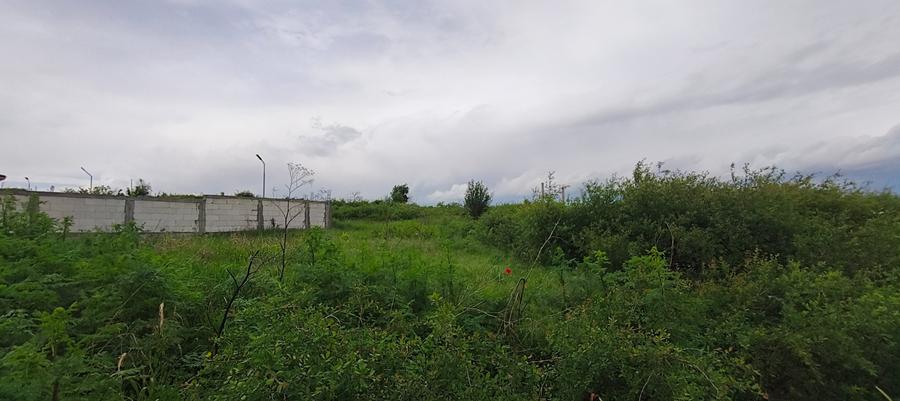 Teren Construcții intravilan de 700 mp, în Sud-Est