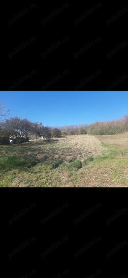 Teren de 1780 mp, în Călinești