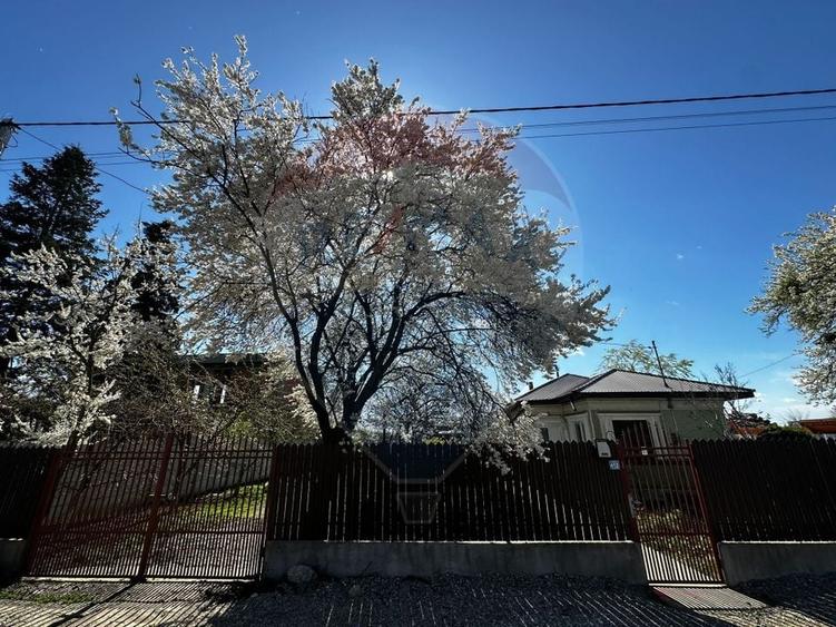 Casă cu 3 camere cu Teren 1000 Mp în Bâldana