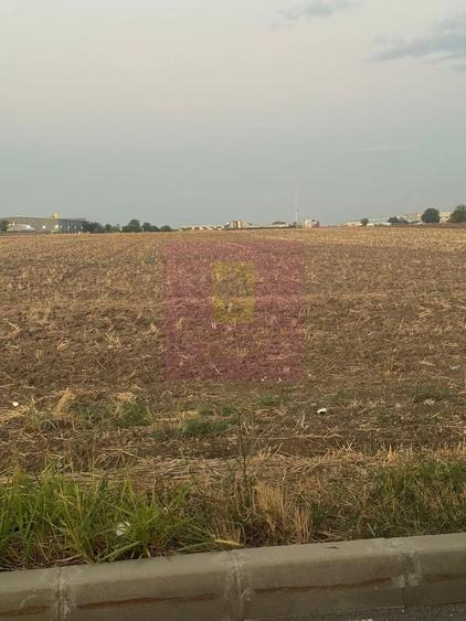 Teren de 3333 mp, în Brănești