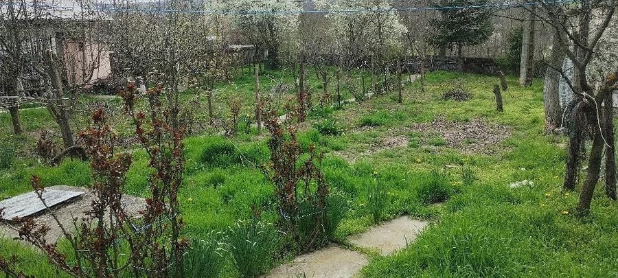 Casă în Racovițeni