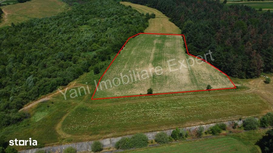 Teren de 11000 mp, în Băiculești
