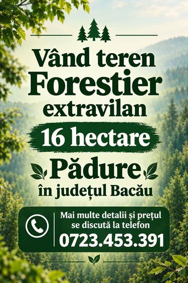Spațiu comercial, în Central