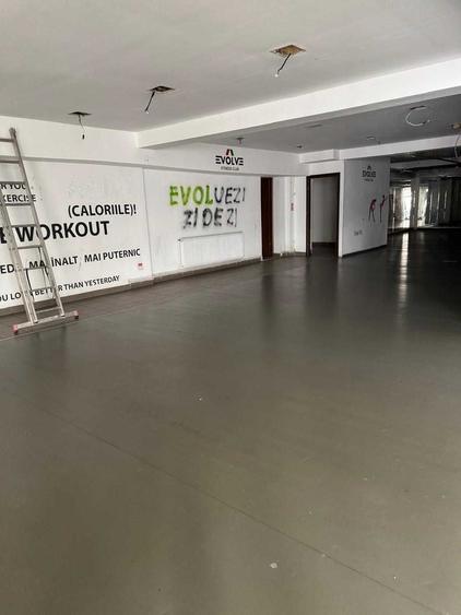 Spațiu comercial, de 450 mp, în Plopilor