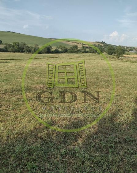 Teren agricol extravilan de 1000 mp, în Rusciori