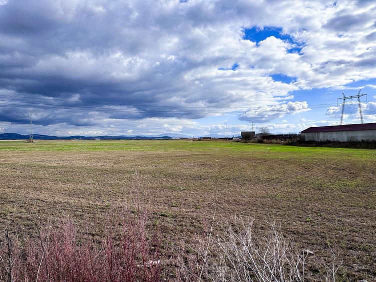 Teren agricol intravilan de 5000 mp, în Hălchiu