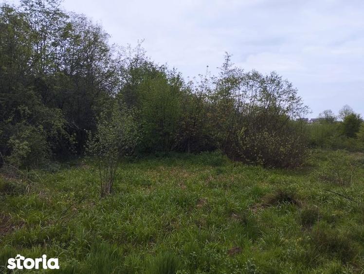 Teren de 2040 mp, în Sâmbăta de Sus