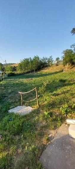 Casă individuală cu 2 camere cu Teren 2200 Mp în Vișinelu