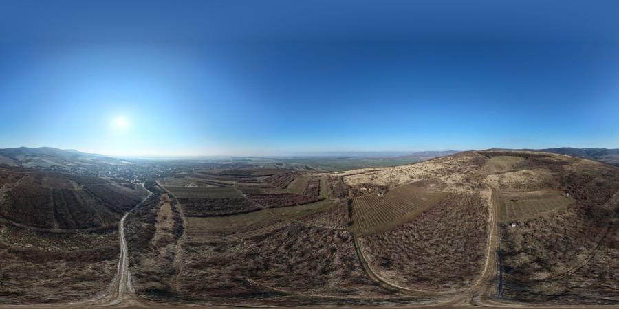 Teren agricol extravilan de 6800 mp, în Covăsinț