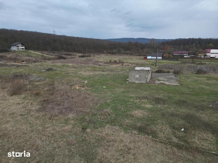 Teren de 3500 mp, în Ciurea