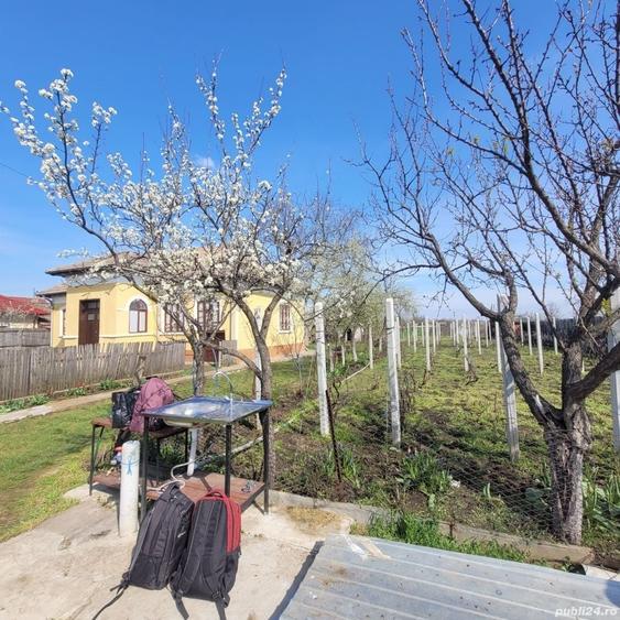 Casă cu 2 camere în Giurgița