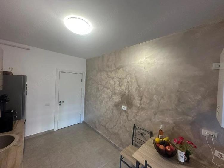 Apartament-2-Camere-Decomandat-Mobilat-Utilat-Curte-Proprie-Parcare - 11