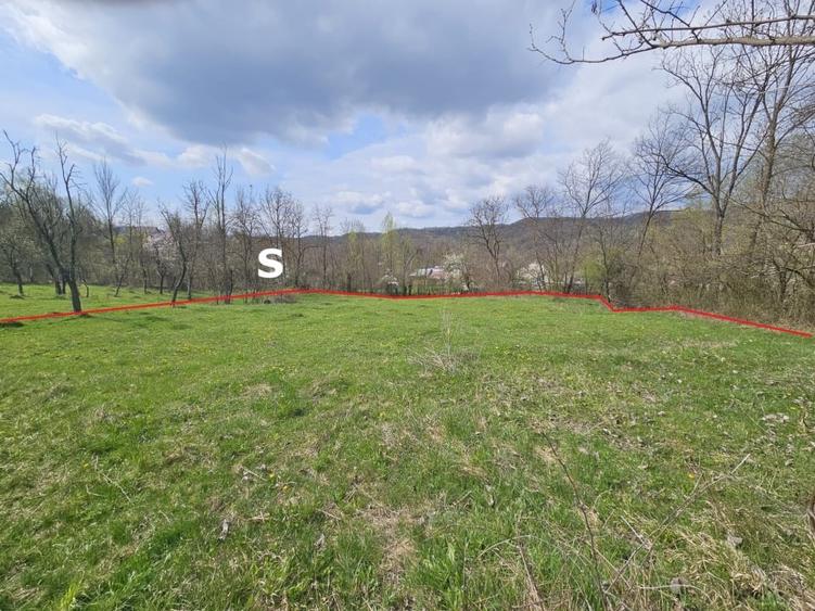 Teren Construcții intravilan de 2640 mp, în Prăjani