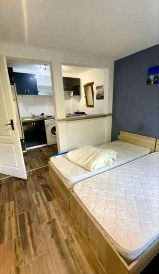 Apartament Pet Friendly Balcescu Central Elisabetin Complex Studentesc Politehnica UVT Medicina 2 Liceul Moisil Piata Maria Victoriei Judetean - 7