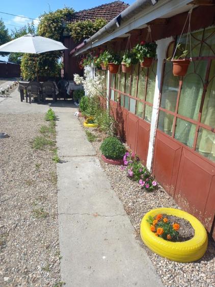Vand Casa sat Greci comuna Osica de Sus - 6
