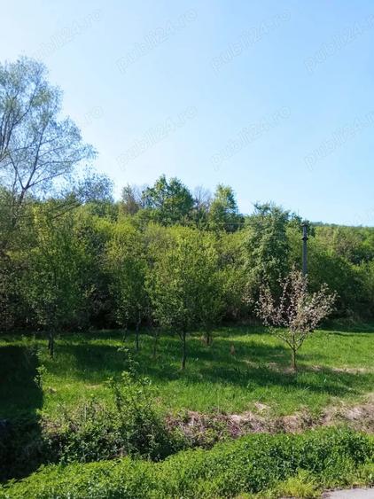 Teren de 1500 mp, în Vorța