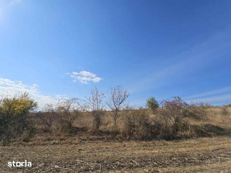 Teren de 5300 mp, în Chinteni