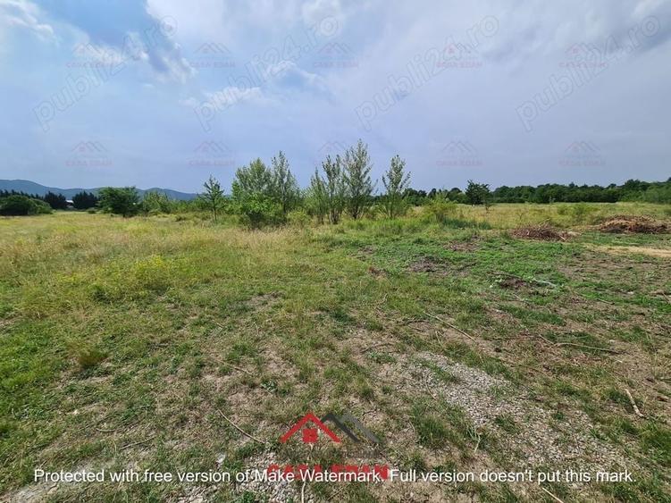 Casă cu Teren 3727 Mp în Bănești