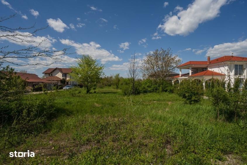 SNAGOV - CIOFLICENI TEREN CONSTRUCTII 830 MP, LOT DE COL?! - 2