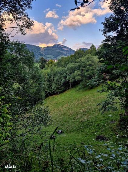 Teren investitie 8635 mp extravilan , Pestera Brasov - 11