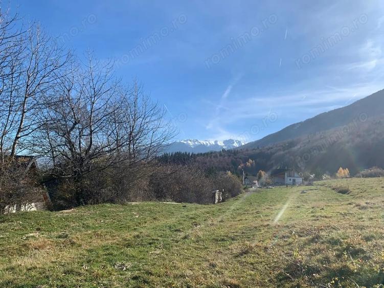 Teren în Tohănița