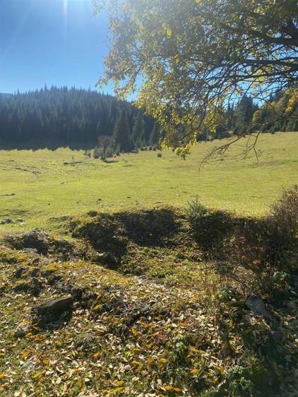 Teren Construcții de 16257 mp, în Poiana Horea
