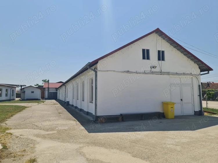 Spațiu comercial, de 1,059 mp, în Lugoj