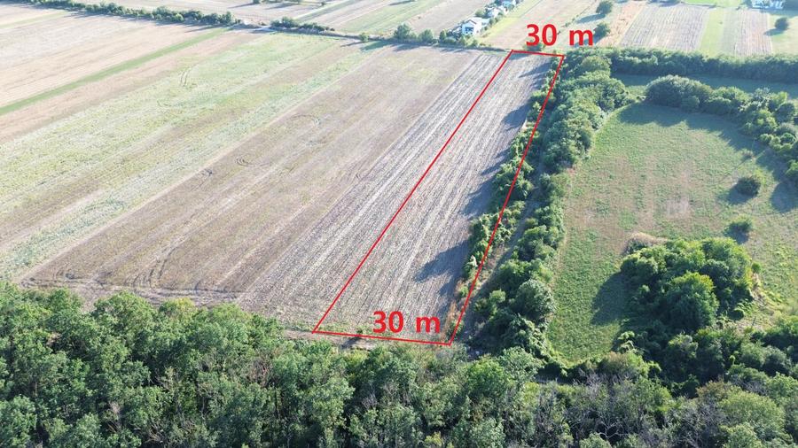 Teren Construcții intravilan de 9000 mp, în Bolintin-Deal