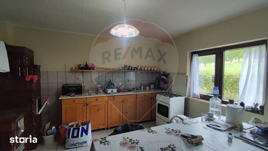 De vanzare casa cu teren 1,17ha la munte, Munteni, Bulz, spre Hiltop - 12