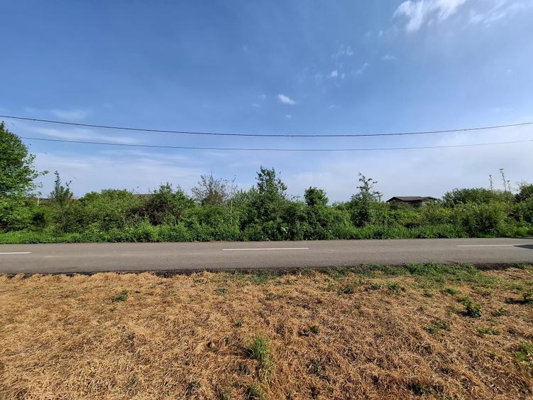 Teren Construcții intravilan de 3300 mp, în Vlădiceasca