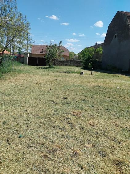 Casă cu Teren 2158 Mp în Comloșu Mare