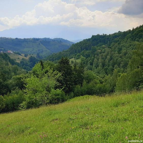 Teren de 7200 mp, în Peștera