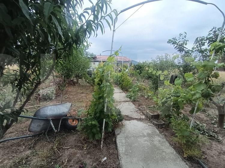 Casa cu 450 mp teren, de weekend sau rezidential - Dobolii De Jos - 1