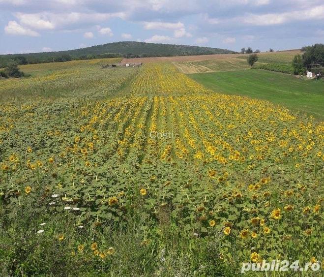teren la DN22,soseaua Tulcea-Constanta ,negociabil