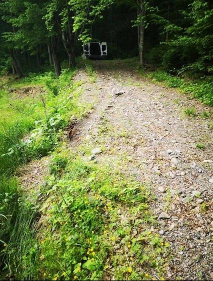 Teren intravilan de 3275 mp, în Tarcău