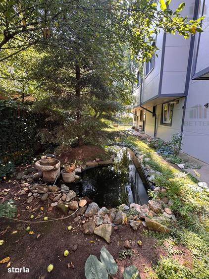 Apartament 2 camere decomandat, cu curte, Drumul Fermei - 9