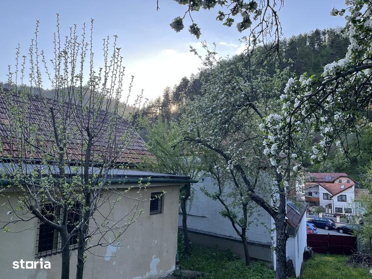 Teren de 707 mp, în Schei