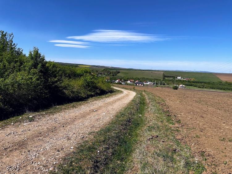 Teren agricol extravilan de 567 mp, în Rusciori