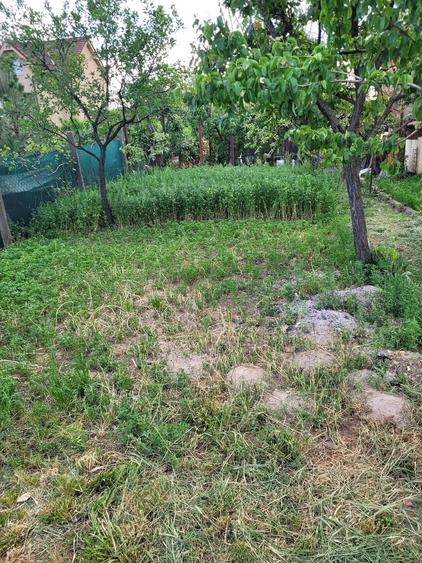 Casă cu 4 camere cu Teren 588 Mp în Oncea