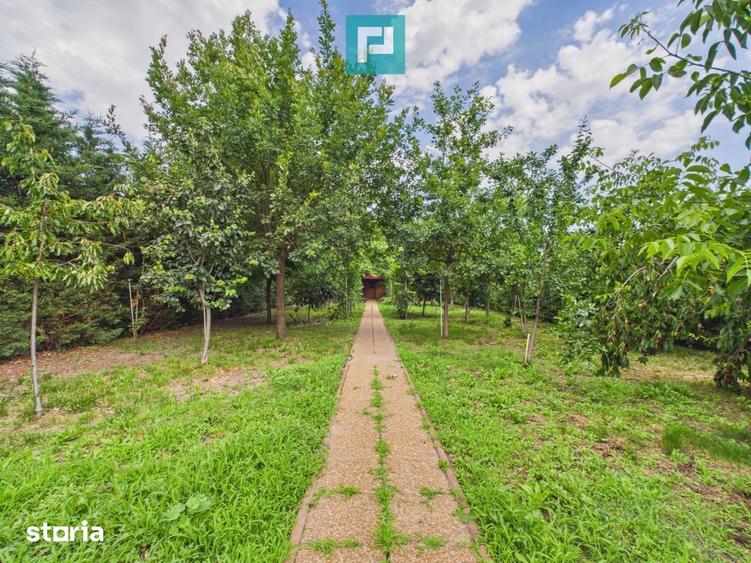 Casă cu 3 camere cu Teren 1484 Mp în Săcălaz