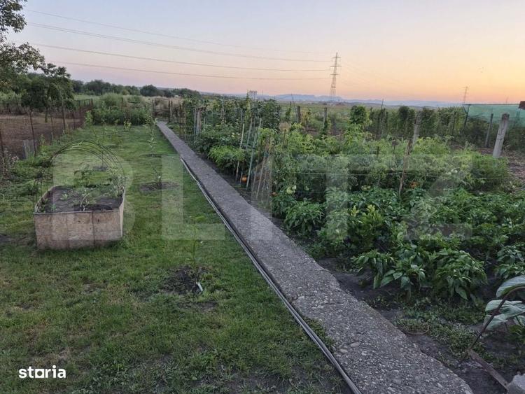 Casă cu 3 camere cu Teren 677 Mp în Central