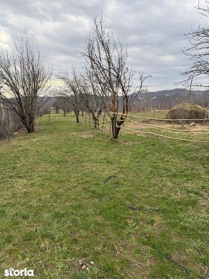 Brebu - teren intravilan 5200mp parcelabil - 25 Euro/mp - 9