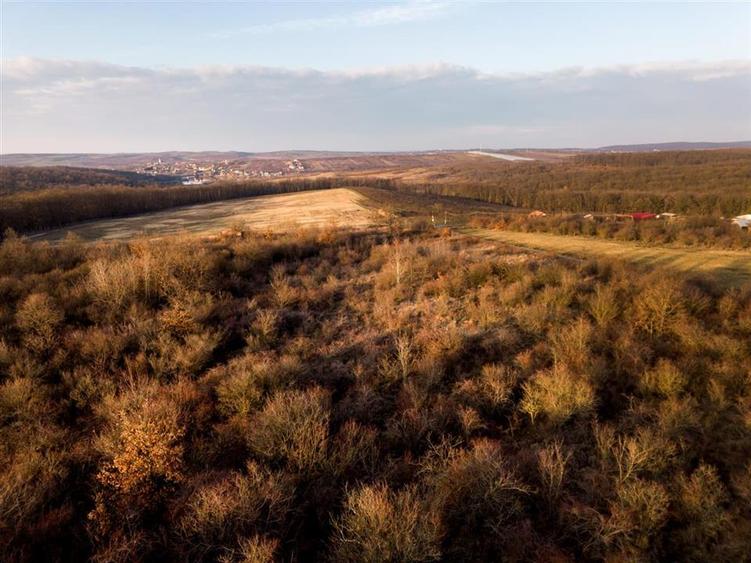 Teren intravilan de 4333 mp, în Săldăbagiu de Munte