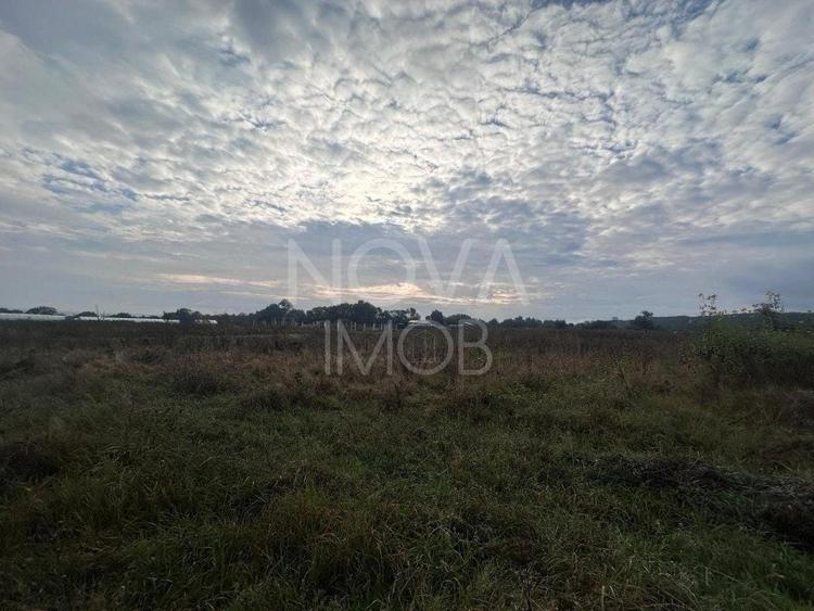 Teren agricol extravilan de 7575 mp, în Șelimbăr