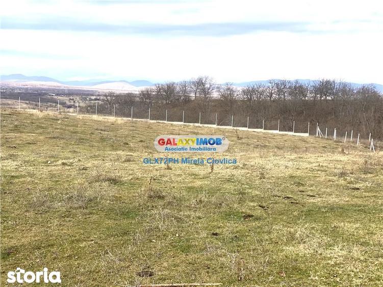 Teren de 4000 mp, în Central